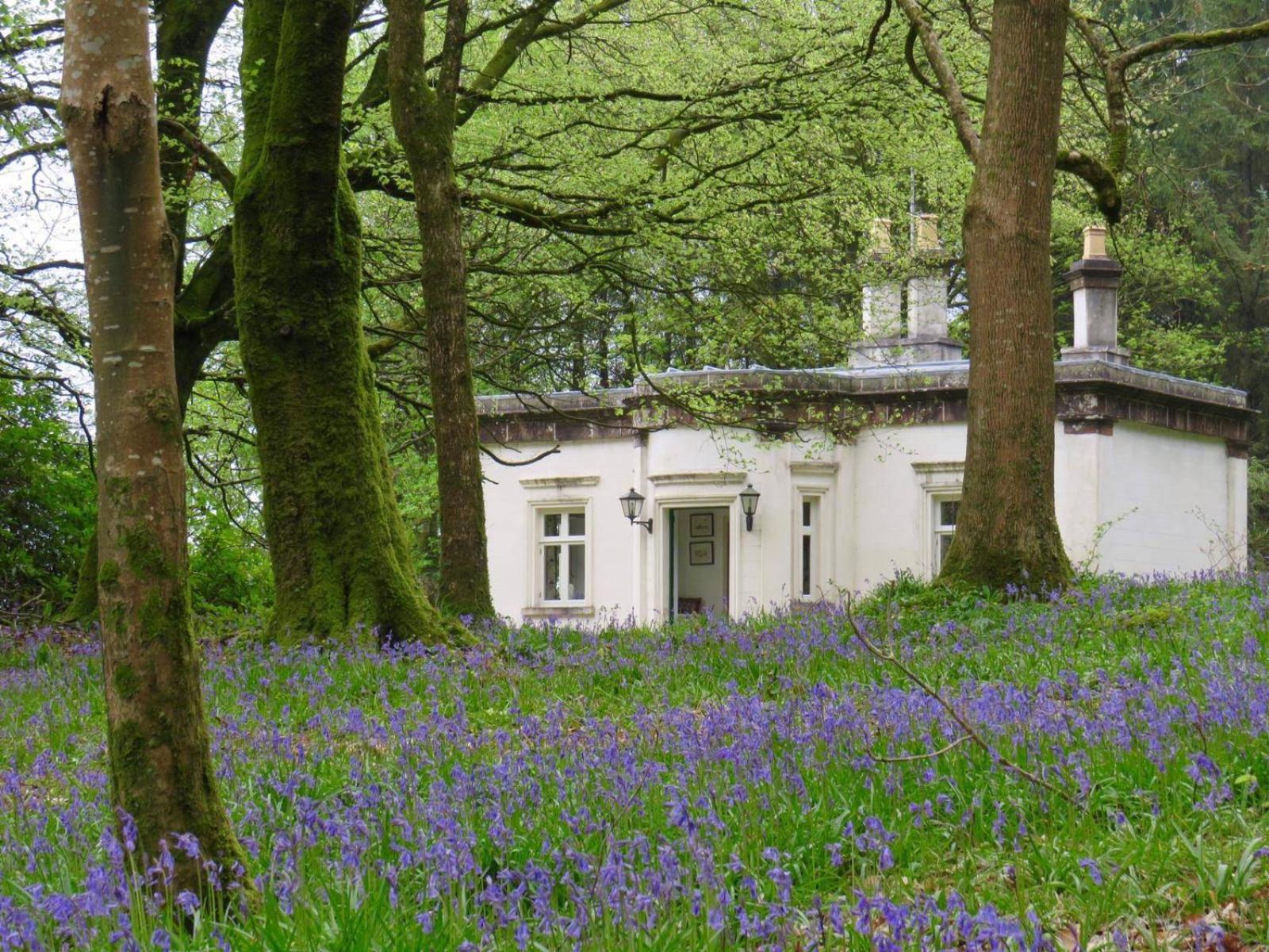 Triumphal Arch Lodge Creagh Eksteriør billede
